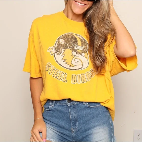 Pittsburgh Steelers Steel Birds Angry Birds Graphic Tee Shirt - Picture 1 of 4